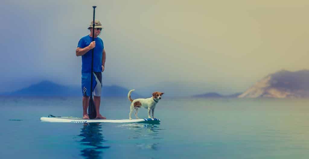 Man in a bucket hat and blue shirt paddleboards with a little white-and-brown dog at the front of the board.