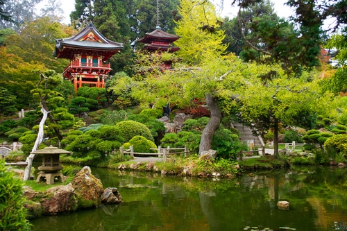 japanese-gardens-san-francisco-golden-gate-park