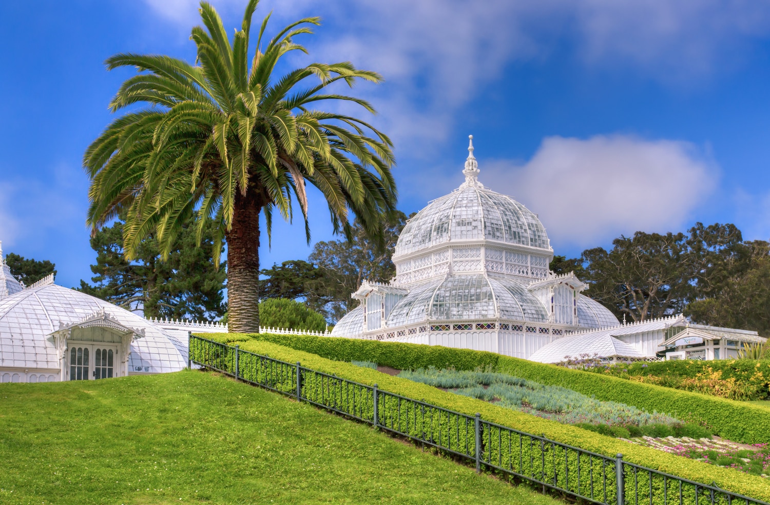 conservatory-of-flowers-and-palm-tree