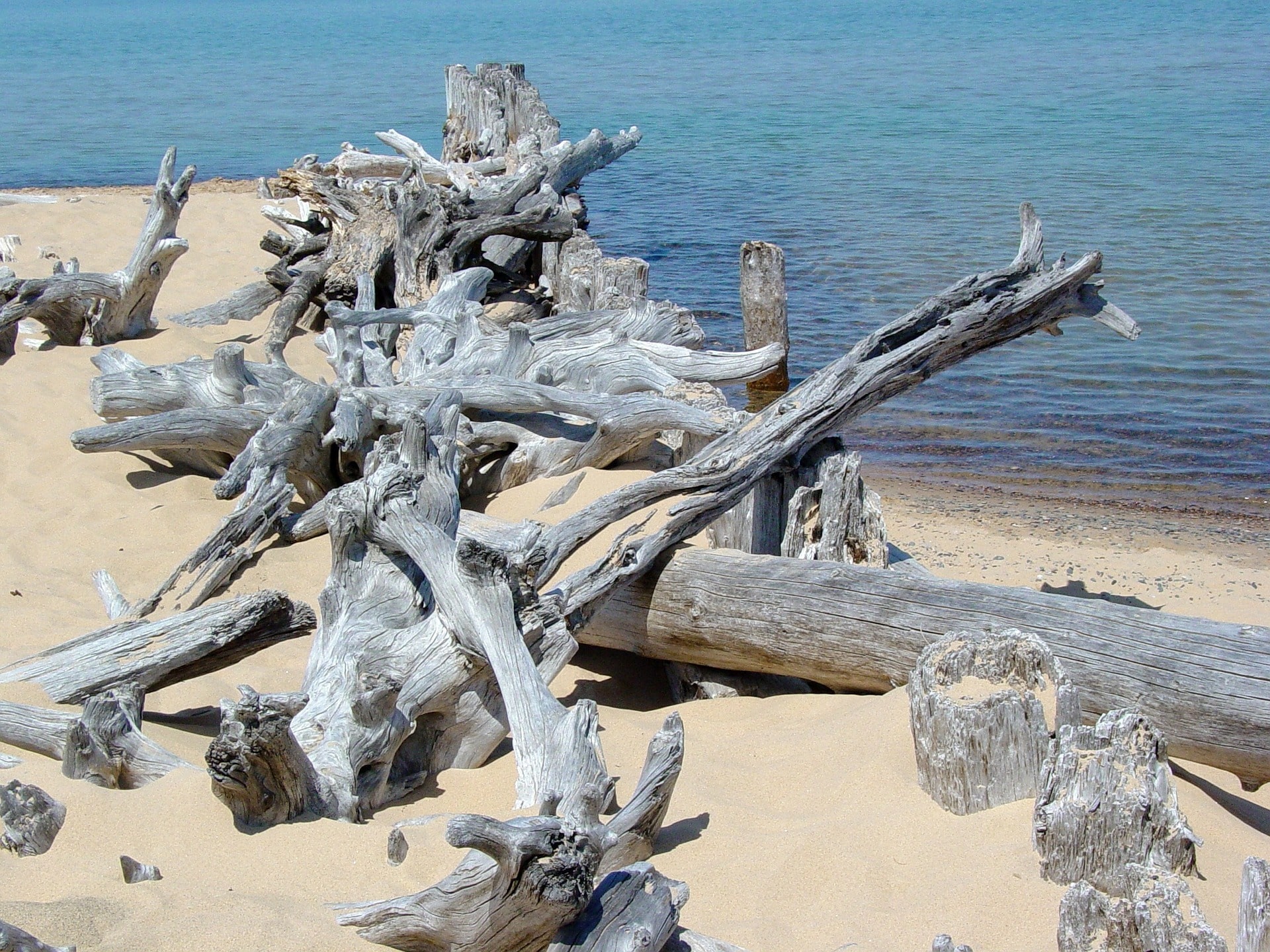 Driftwood, lake superior, beach