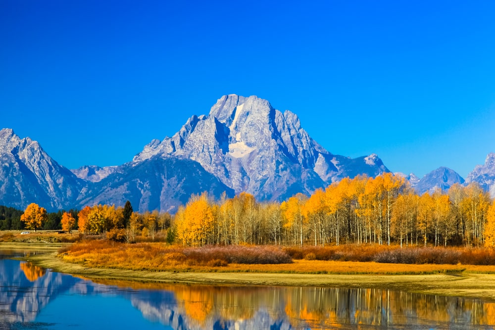 The Grand Tetons rising above foliage-covered trees in fall.