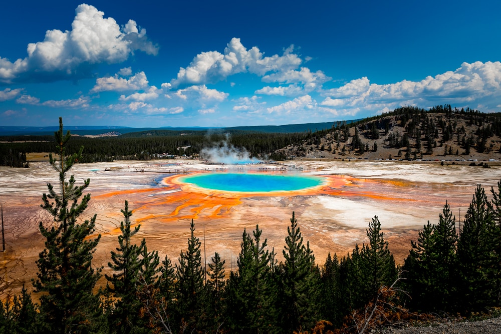 The Grand Prismatic Spring in Yellowstone.