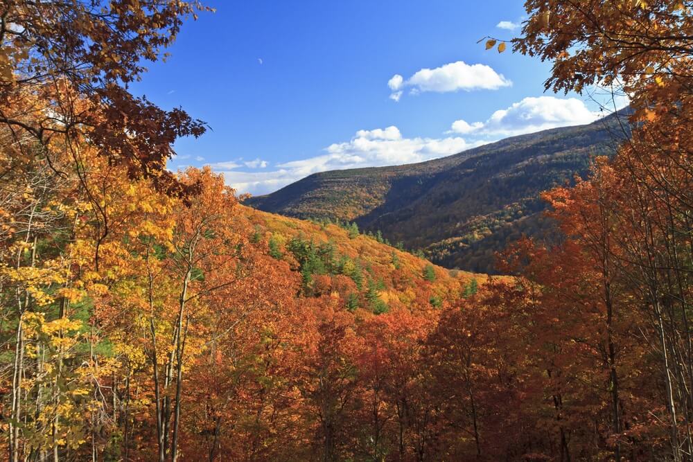 catskill-mountain-range-in-fall