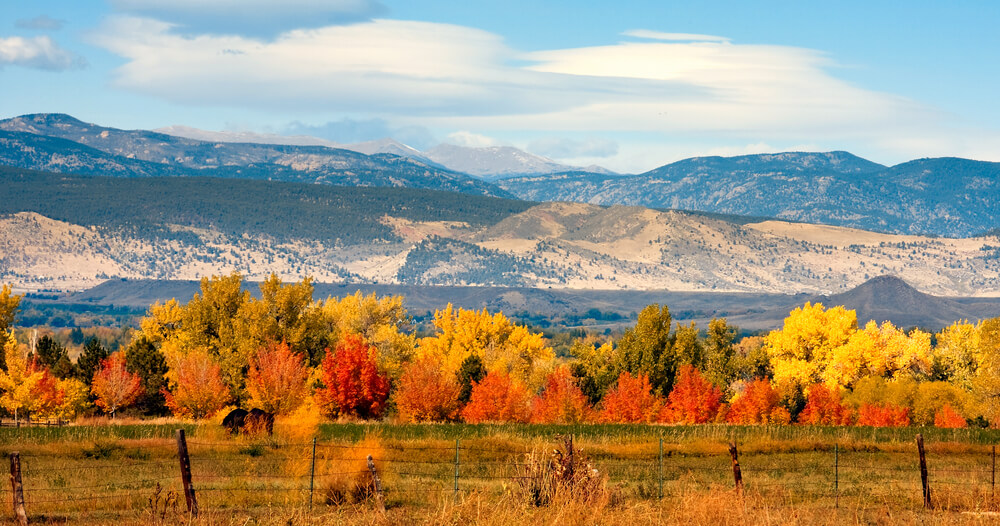 A fall scene in Boulder, Colorado showing foliage and mountains in the distance.
