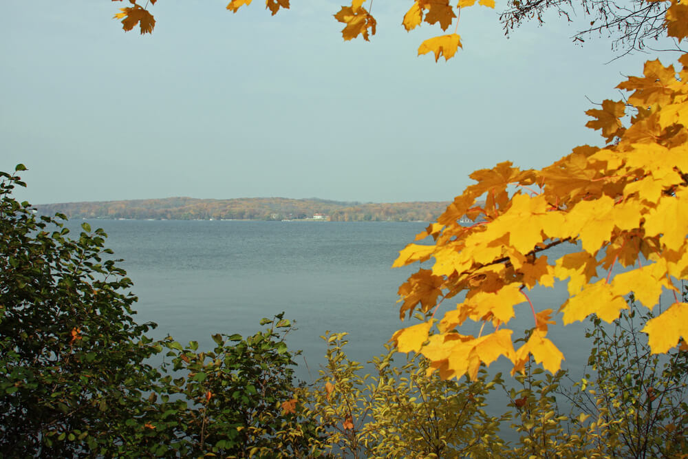 yellow-leaves-at-lake-geneva