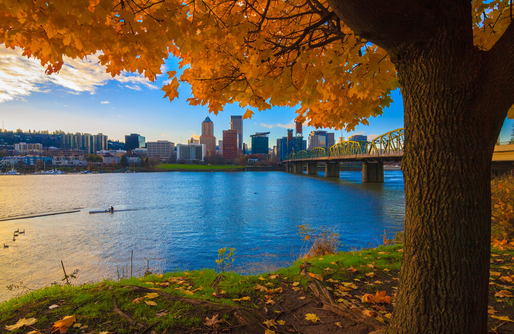 portland-with-autumn-leaves