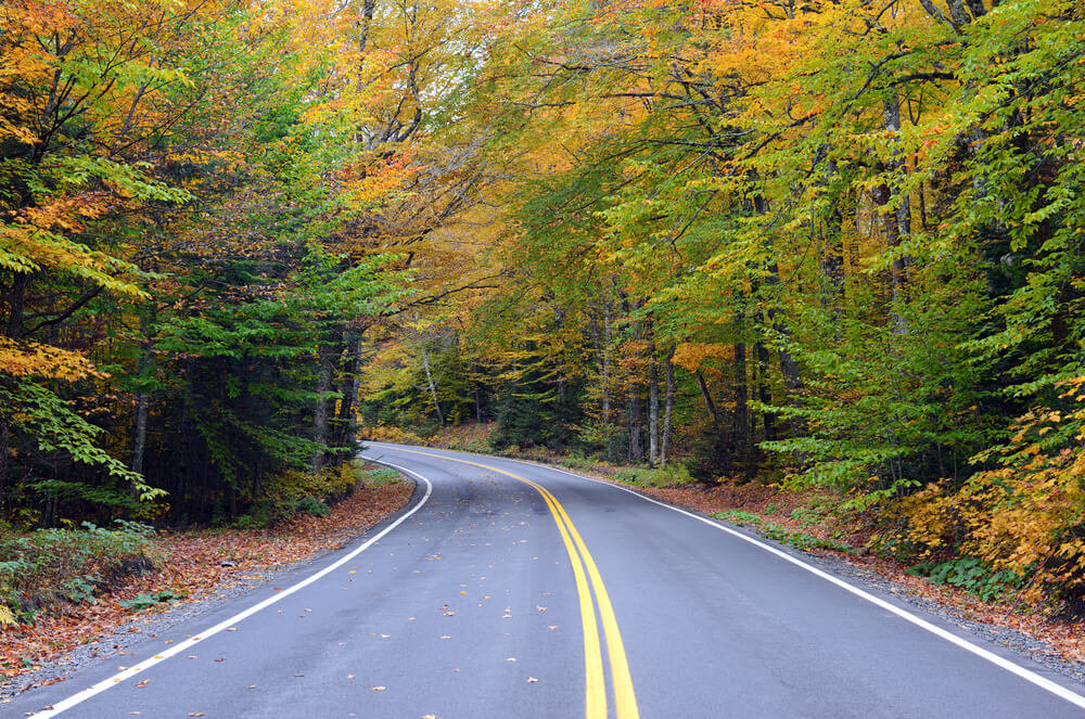 upstate-new-york-autumn-road